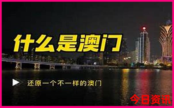 青岛海鸥夏天去哪儿了